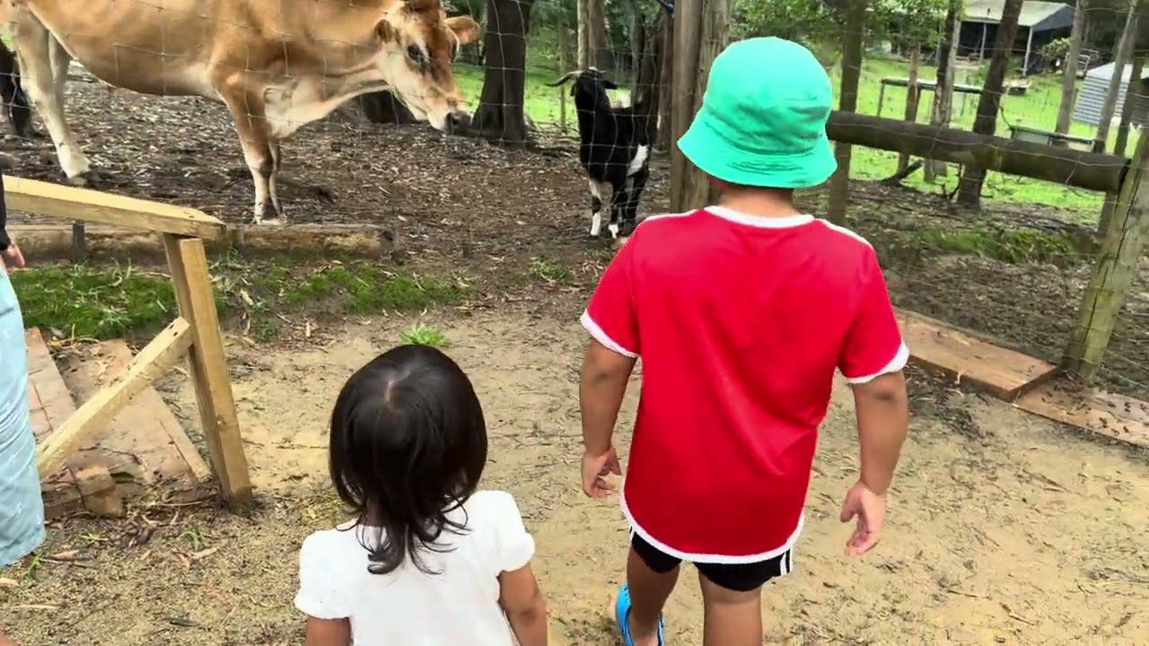 Lyell deer Sanctuary 
