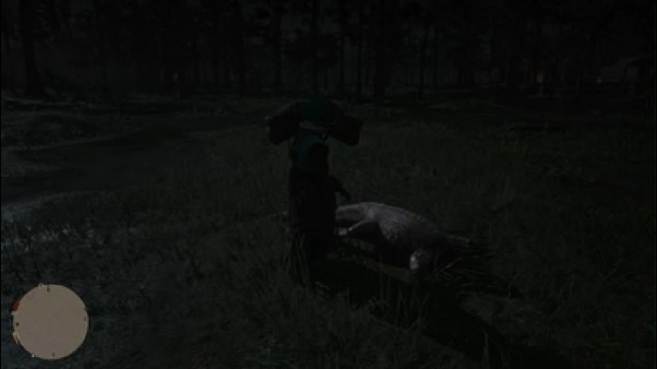 Red Dead Redemption 2_20260117191708