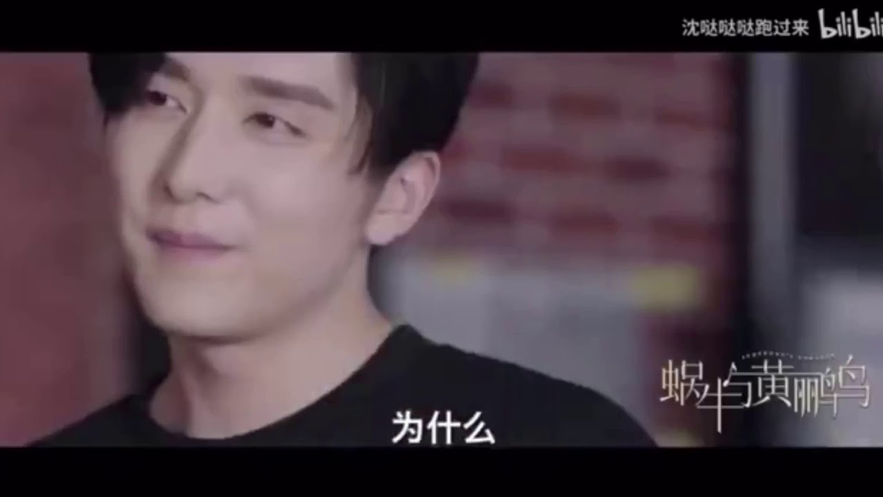 Symphony’s Romance (2020) Trailer starring Steven Zhang and Jelly Lin (Nodame Cantabile Remake)