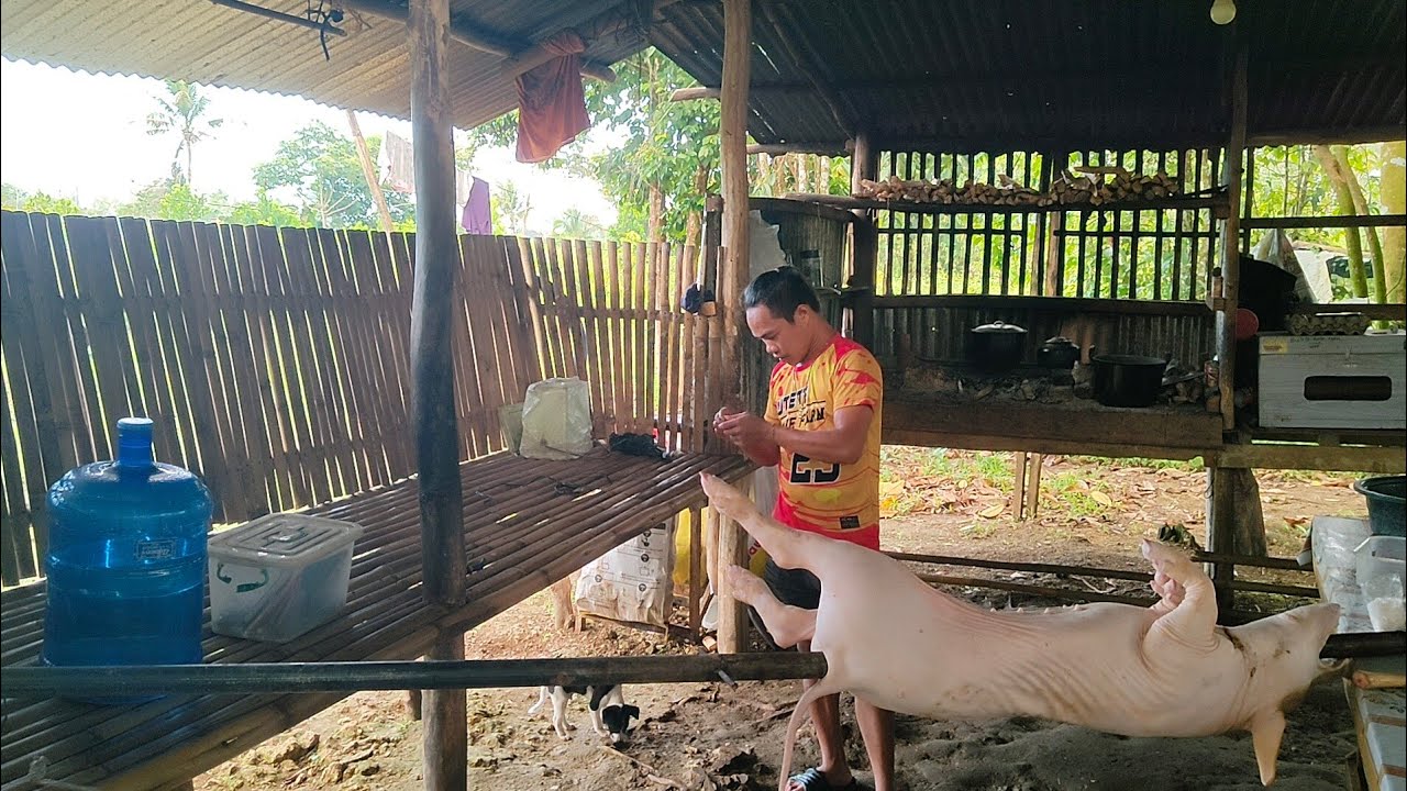 Walang Nasama Kong Mag Litson Kami