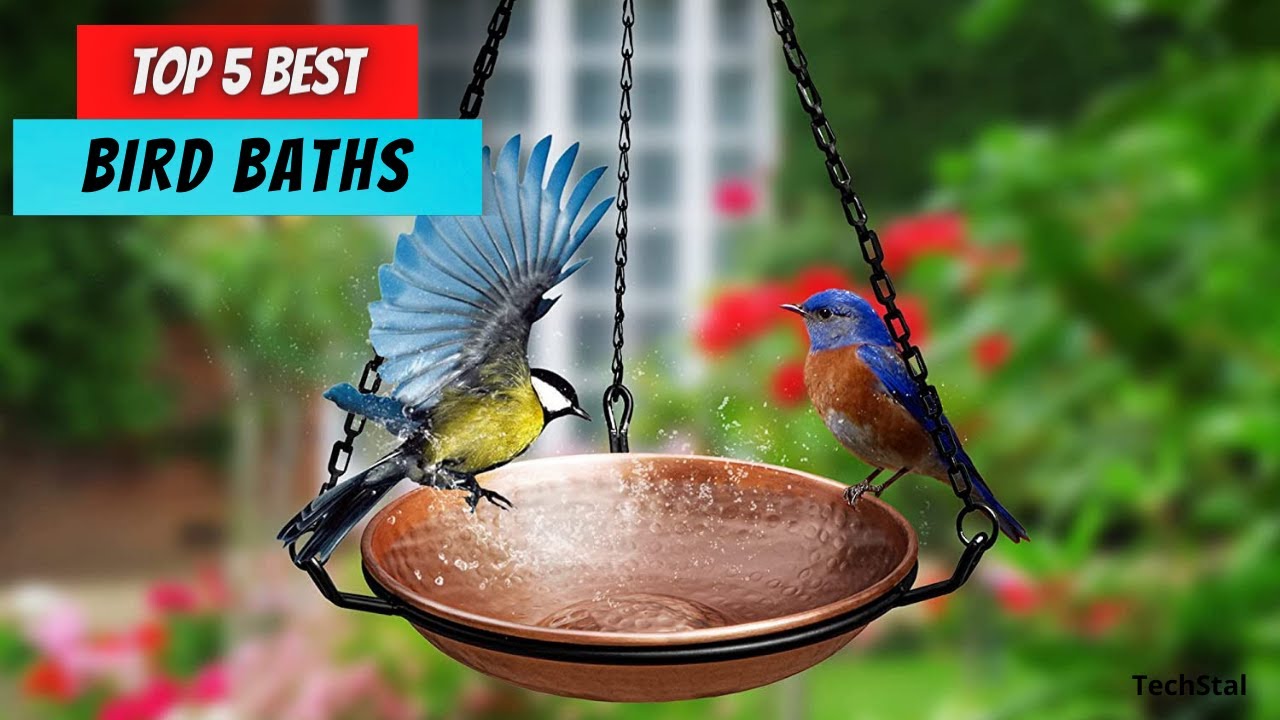 ✅ Top 5 Best Bird Baths | Best Bird Bath Fountain | Best Bird Baths In [2025] (Buying Guide)