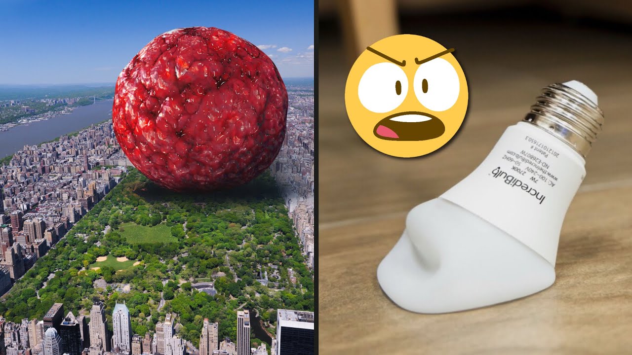 20 COSAS INTERESANTES que no hab&iacute;as visto 👀