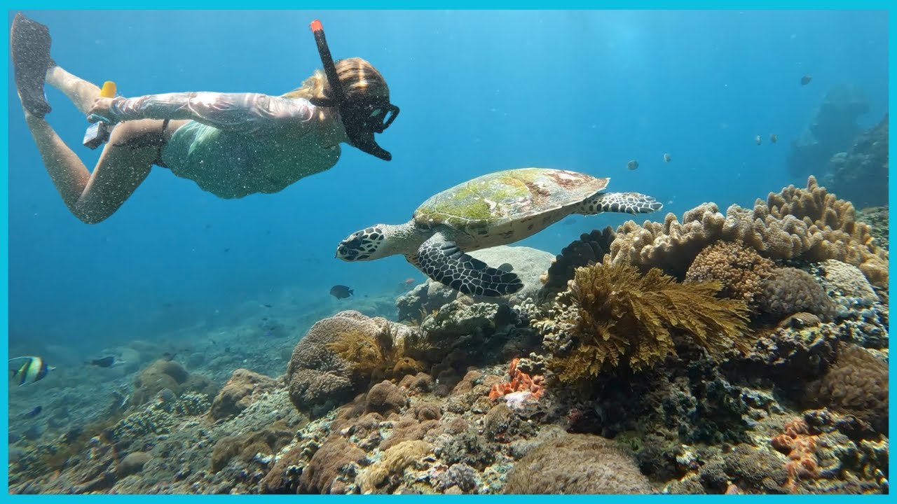 SNORKLING, STORM & STRÖMAVBROTT - BACKPACKAR ASIEN PT. 4