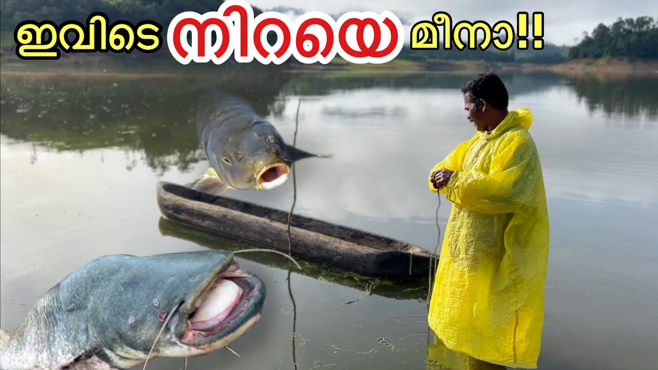 EP #02 ആഫ്രിക്കൻ മുഷി നിറഞ്ഞ ഒരു ഡാം!! | A dam Full Of Deadly fish