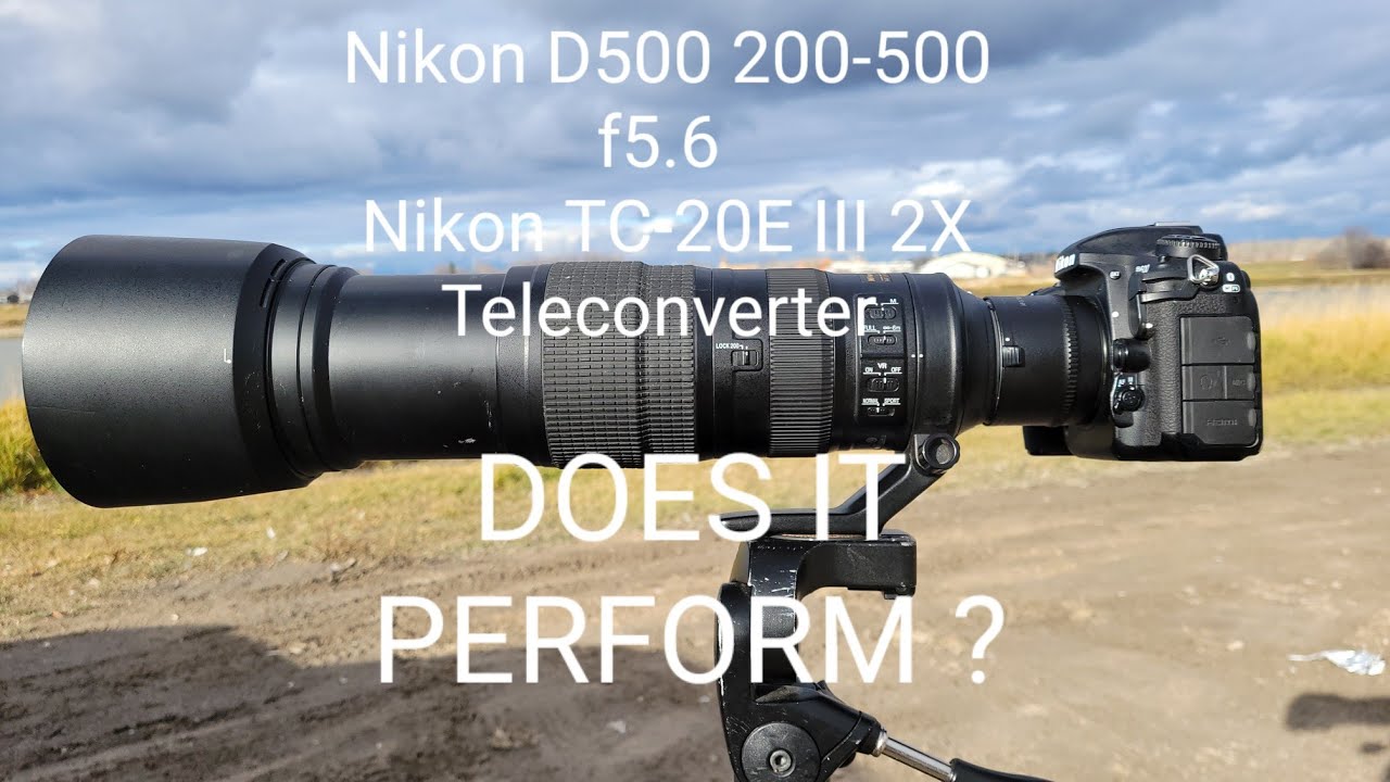 NIKON D500 200-500 f5.6 PLUS 2X ТЕЛЕКОНВЕРТЕР. ОБЗОР С ПРИМЕРАМИ ФОТОГРАФИЙ