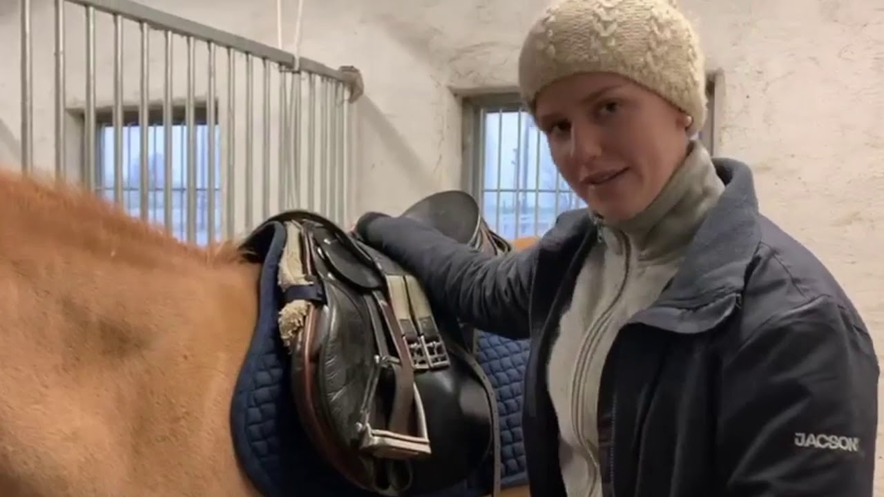 Sadla h&auml;sten