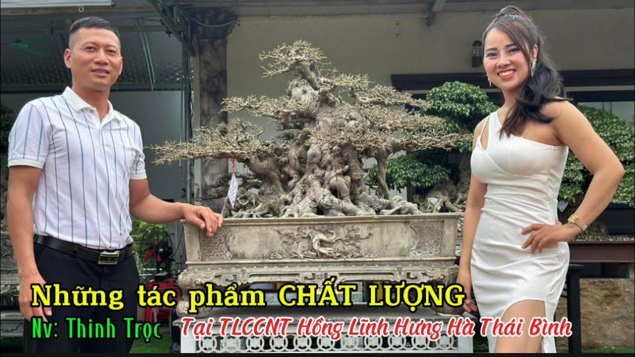 Quảng Tùng| Những tác phẩm ĐẶC SẮC tại TLCCNT Thái Bình, NV Thinh Trọc