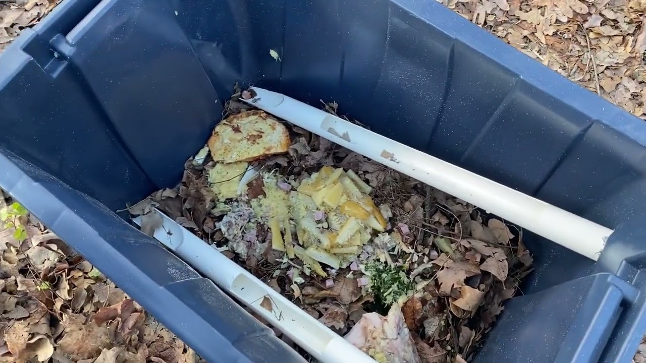 DIY - How to build a Black Soldier Fly Larva Bin Build CHEAP