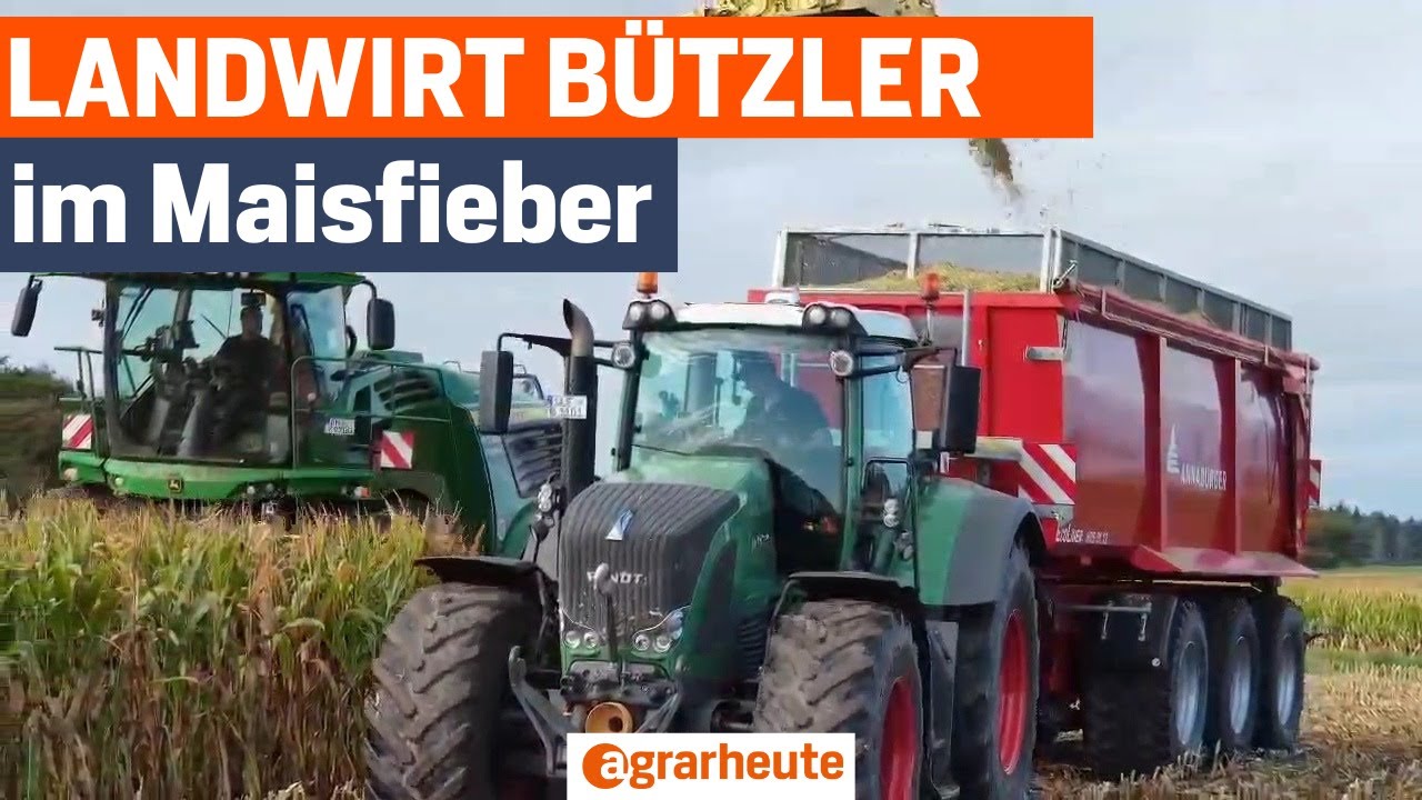 Landwirt B&uuml;tzler im Maisfieber