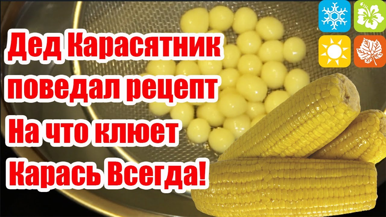 Насадка на Карася. Кукурузное тесто для карася. Рыболовная насадка