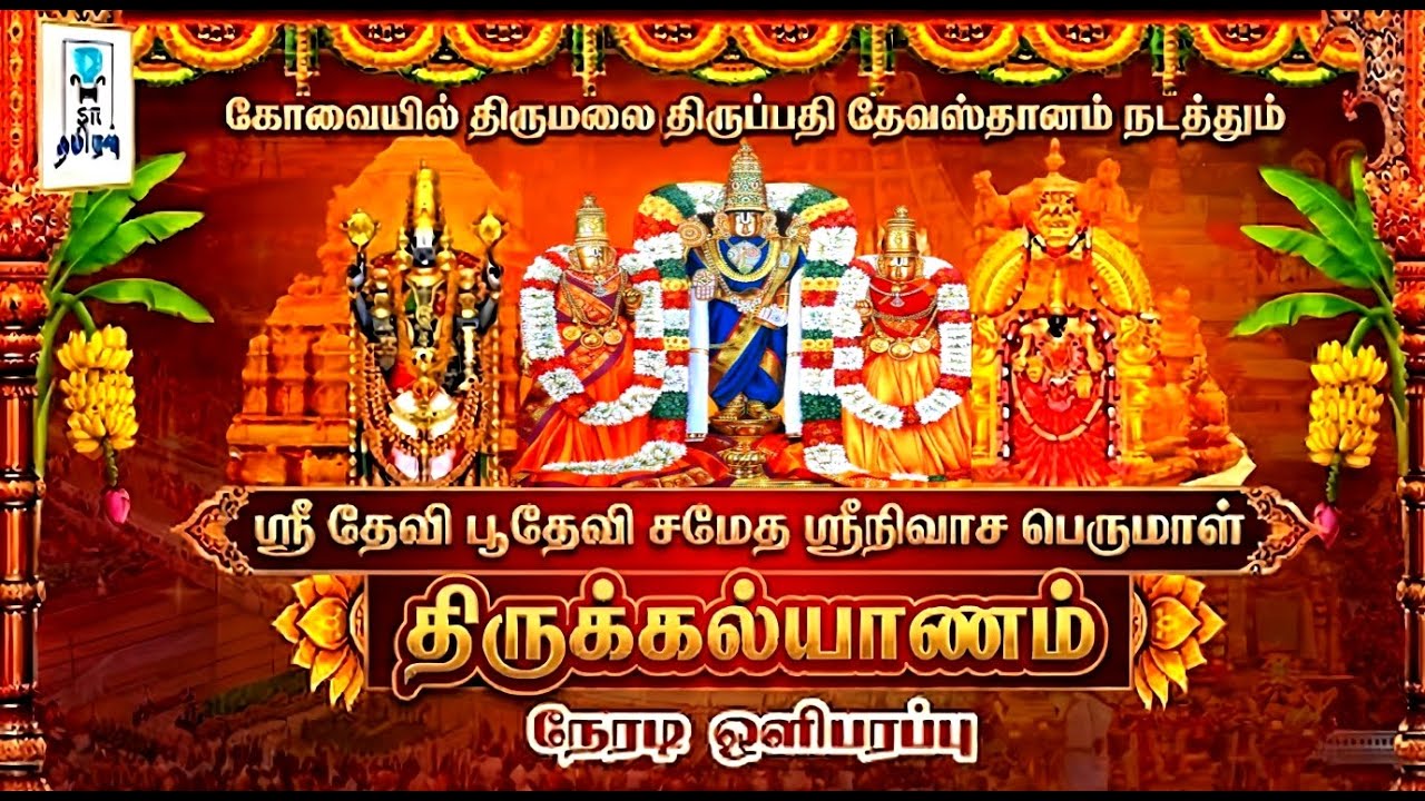 🔴LIVE: திருக்கல்யாணம் || கோவையில் திருப்பதி ஸ்ரீ தேவி பூதேவி சமேத ஸ்ரீநிவாச பெருமாள் || @SRTamilan