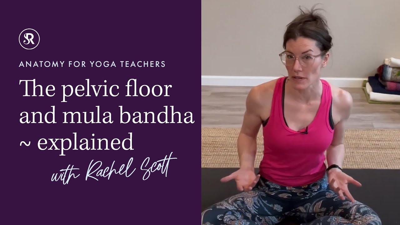 The Pelvic Floor & Mula Bandha, Explained! Yoga Anatomy with Rachel