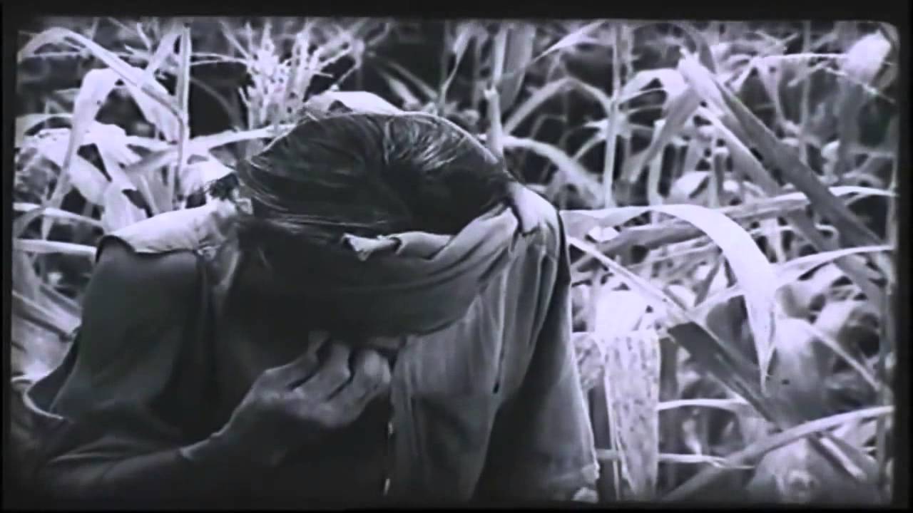 [Japsub] Lão Hạc - Trích đoạn trong phim 