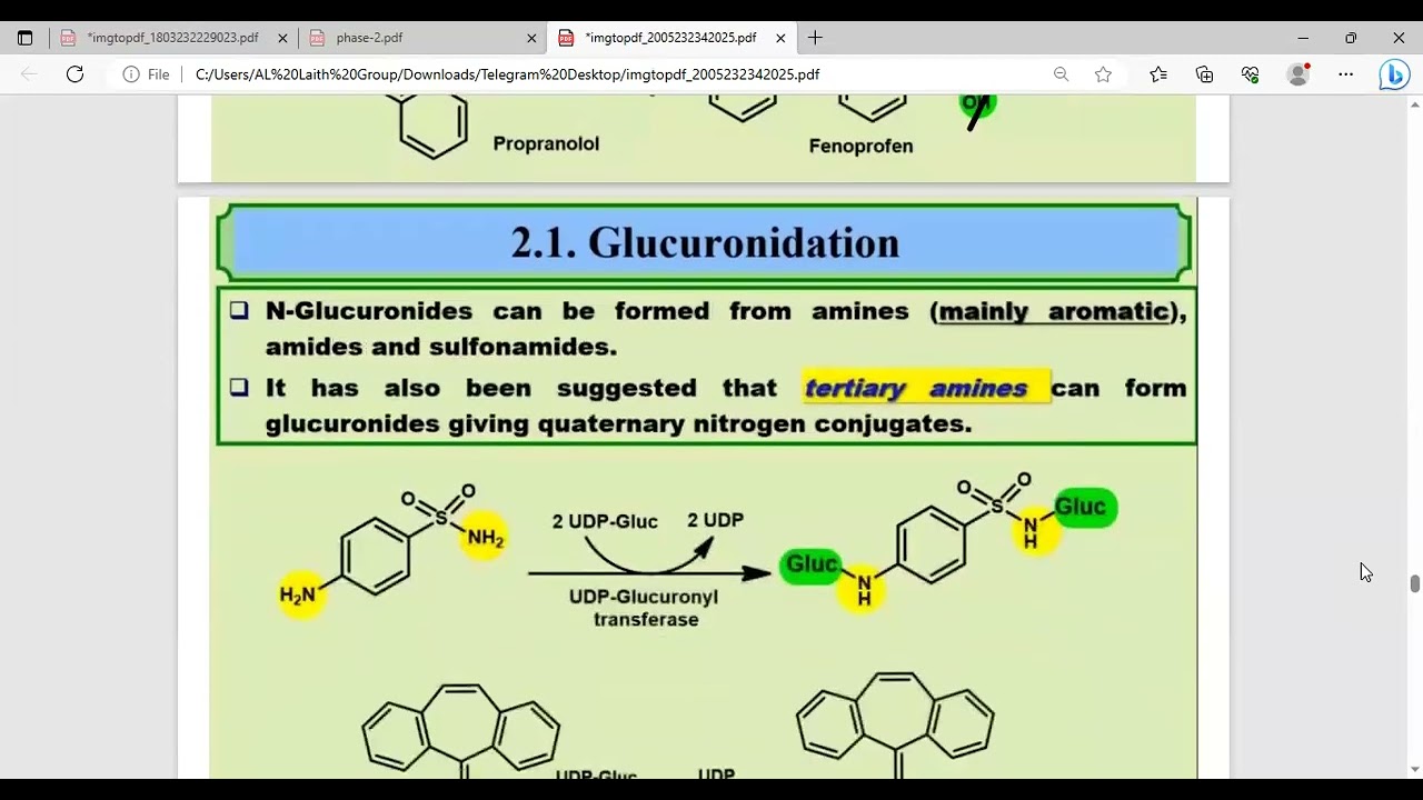Drug Metabolism 3