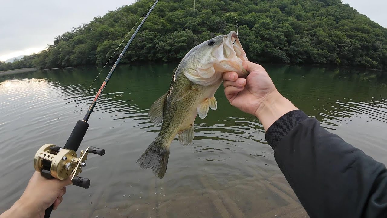 ［ASMR] Bass, Sea Bass Fishing ASMR