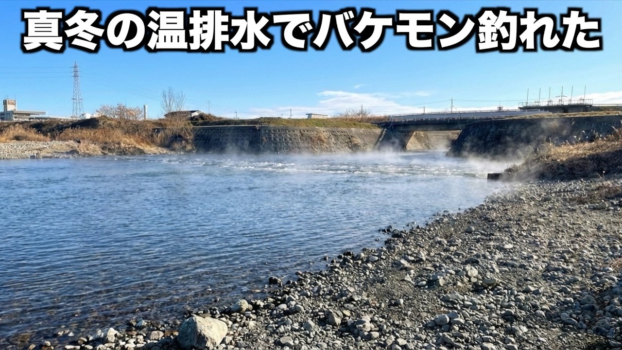 【温排水巡り】京都にある真冬の温排水ポイントを調査したらチャンネル史上最大のバケモノが‥。【宇治川・桂川編】