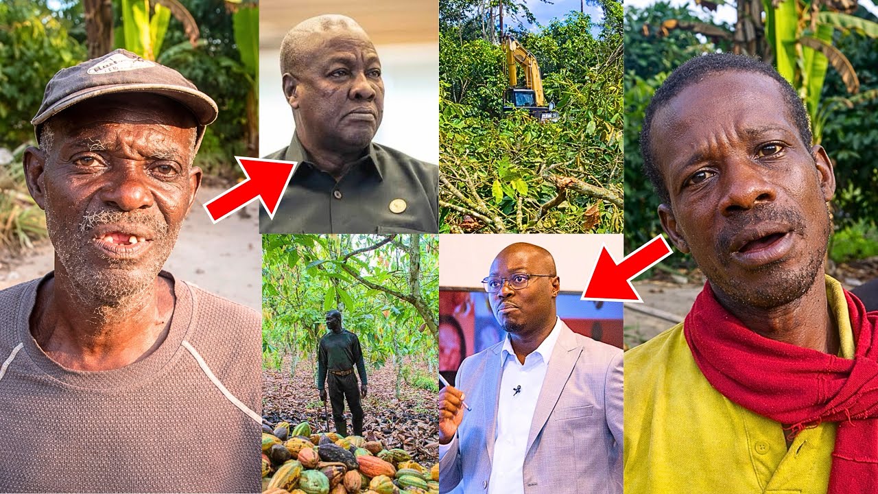 I will sell my farm to Galamseyers! Angry cocoa farmers tell John Mahama & Ato Forson over price cut