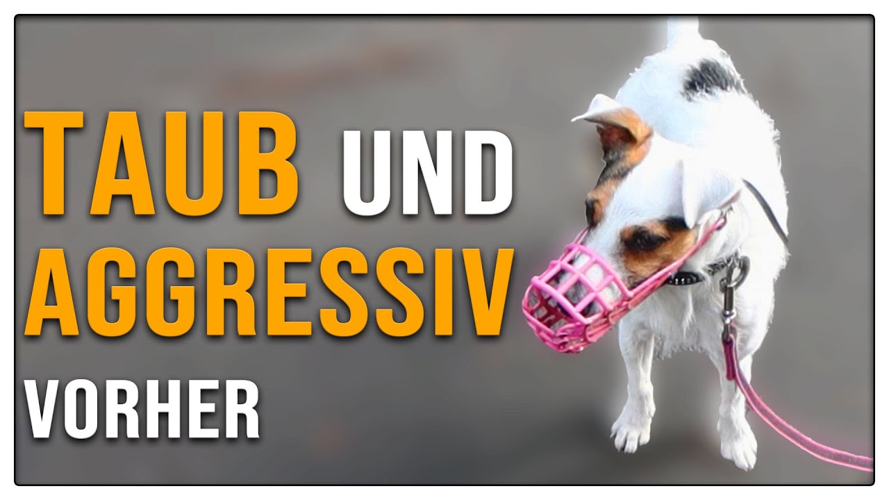 Wird sie den Maulkorb loswerden?😳 Vorher-Nachher-Vergleich - TGH XXL 8