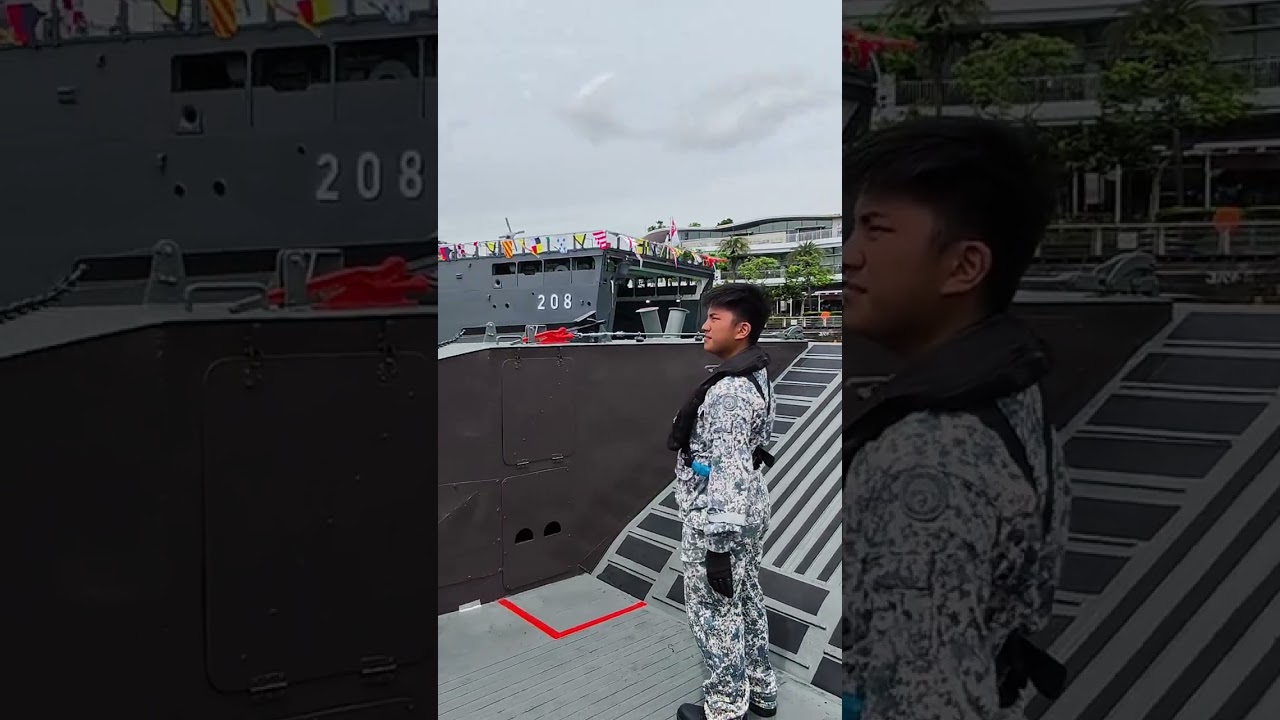 RSS Resolution (208)&nbsp;#singapore #navy #resolution #208 #海军