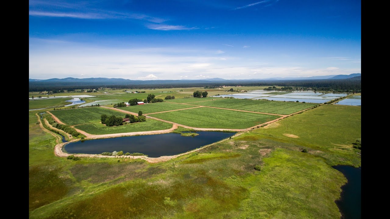 Northern California Ranch | Shasta View Ranch, Shasta County California