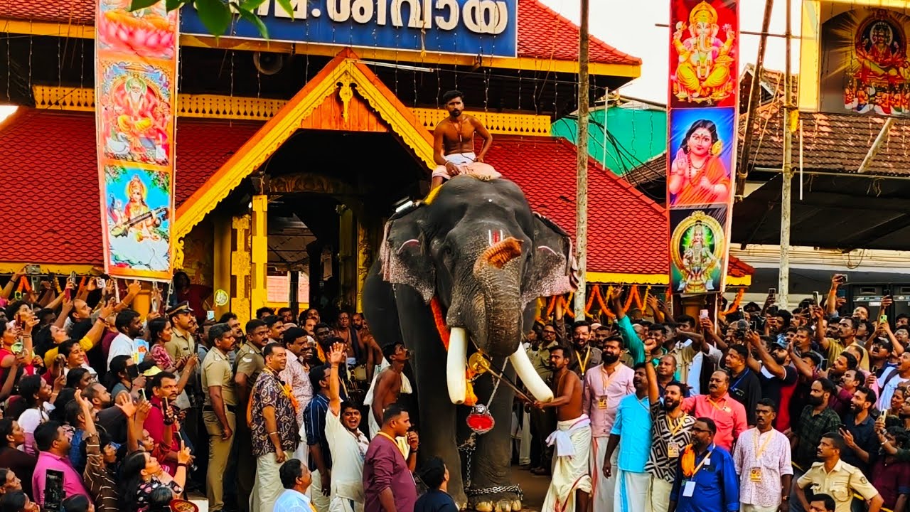Thirunakkara pooram 2025 | 22 ഗജവീരന്മാർ കിഴക്കേ ഗോപുരം കടന്നെത്തുന്ന മനോഹര കാഴ്ച്ച