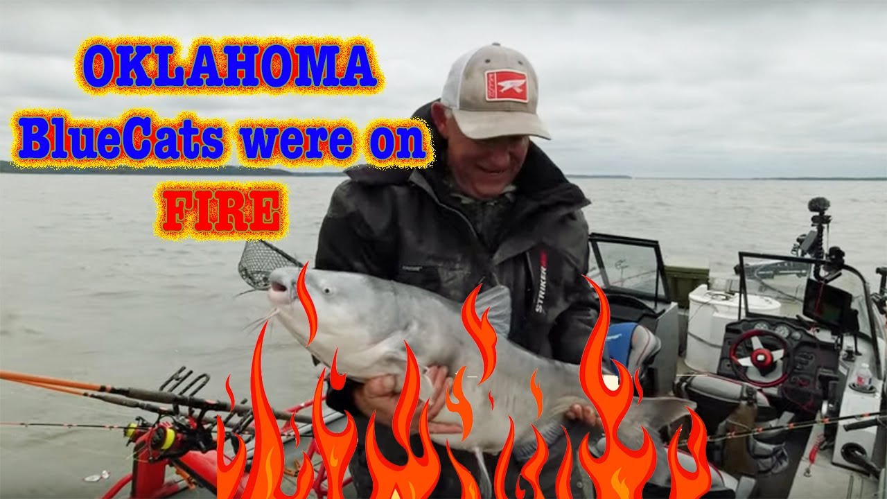 Goose Island Blues. Catfishing For Bluecats Off Windy Pionts In Oklahoma.