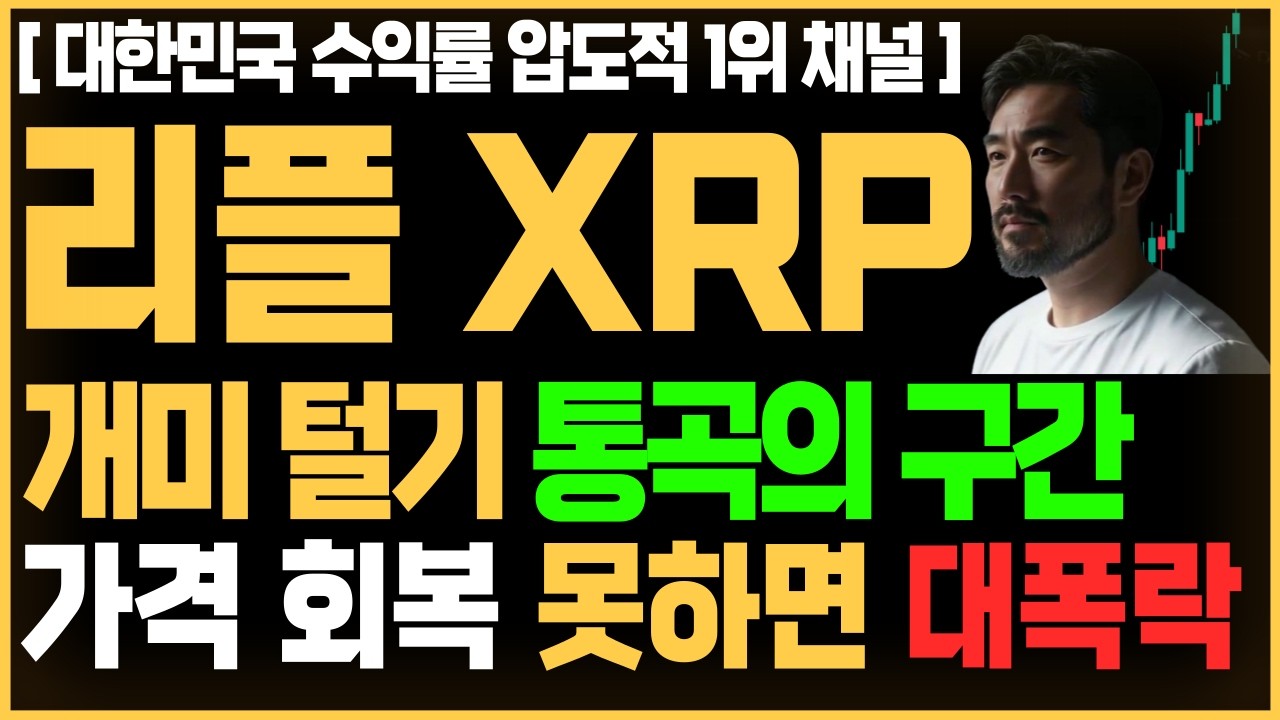 [급등 코인 추천] 리플 전망 XRP 개미 털기 통곡의 구간 가격 회복 못하면 대폭락 #리플 #엑스알피 #리플코인 xrp xrp리플 리플전망 xrp리플전망 리플xrp