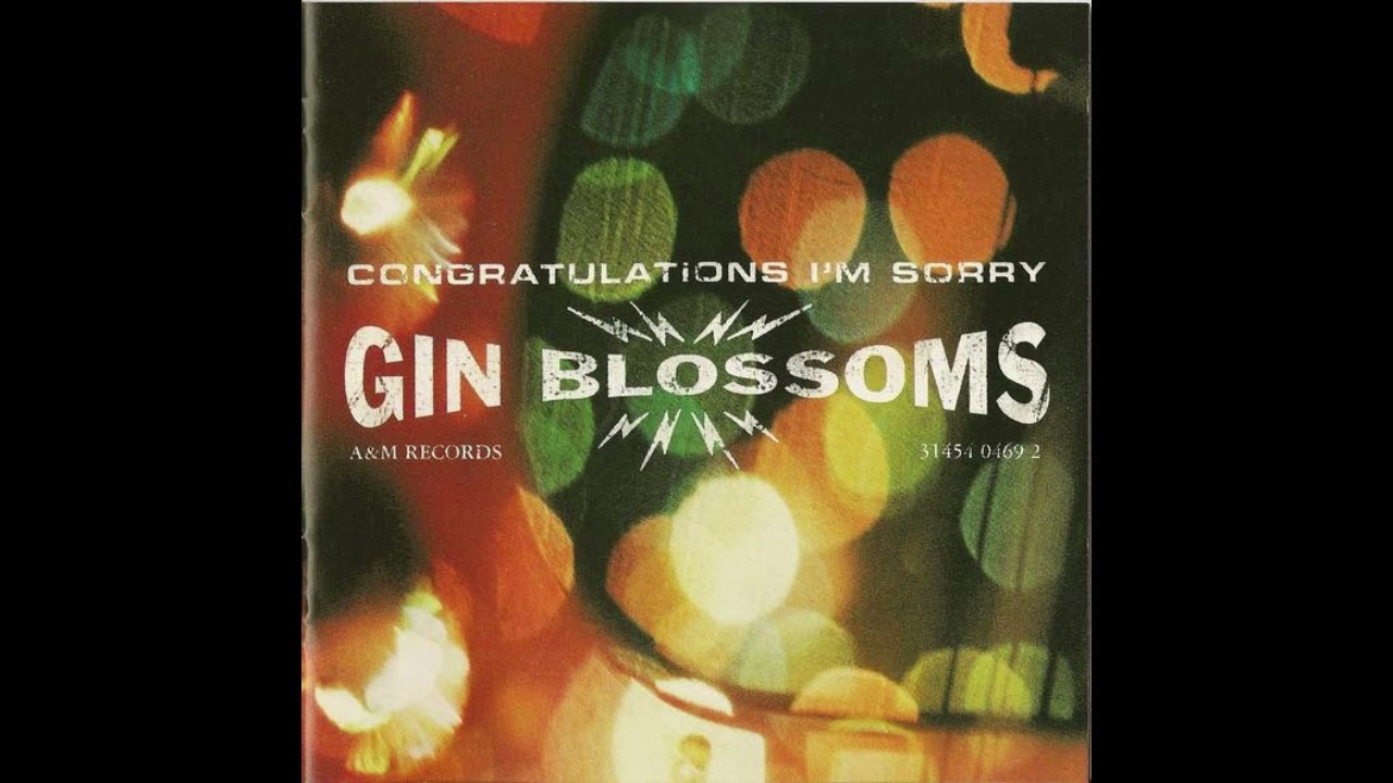 Gin Blossoms - Follow You Down