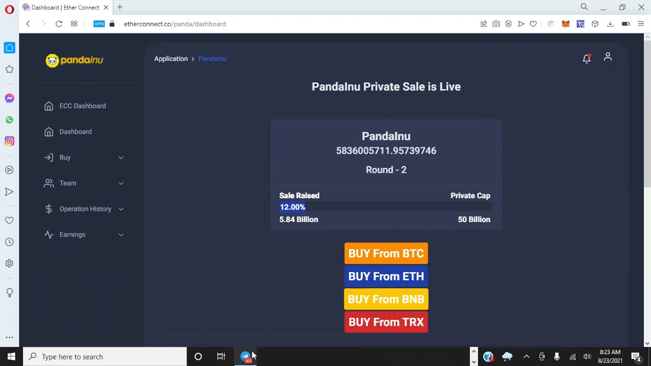 Panda Inu Token Price Update - Watch This Now If You Plan To Buy!!