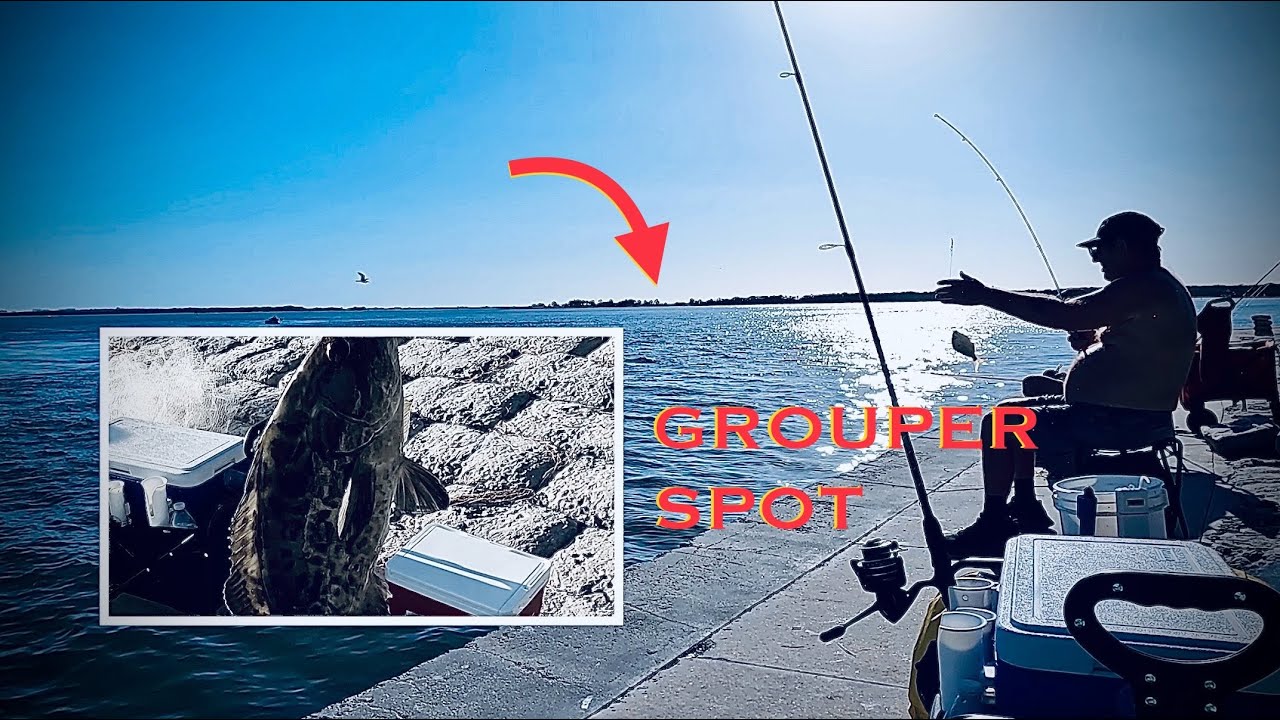 EVERYONE is Catching GROUPER at Dunedin Causeway, Florida 🎣⛵️