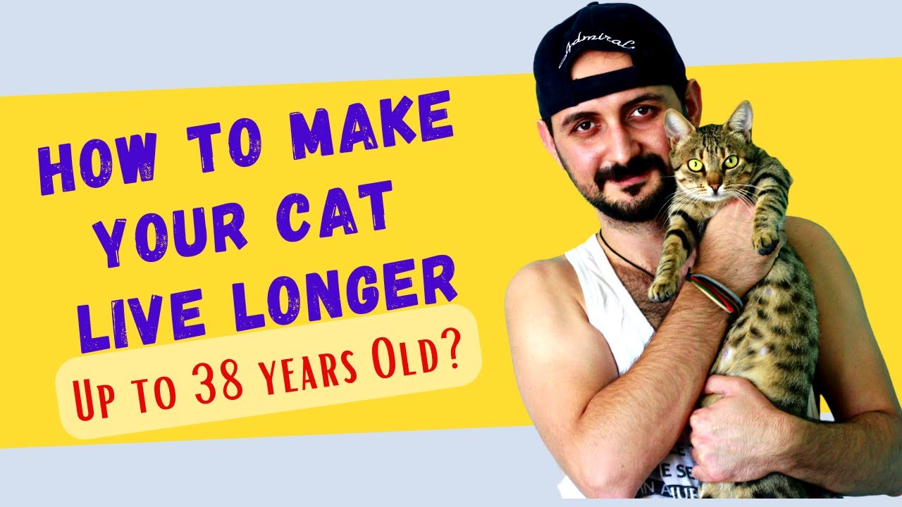 How To Make Your Cat Live Longer 🐱 (10 NATURAL WAYS)