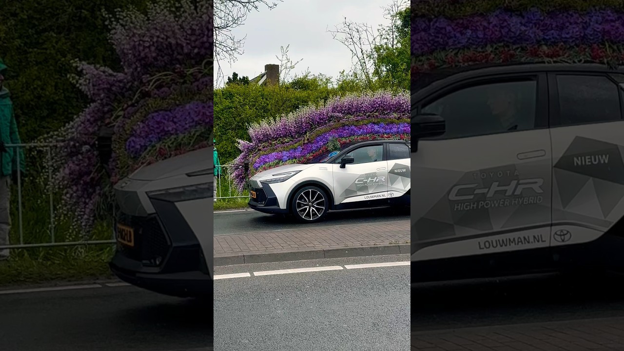 #blumenkorso #netherlands #holland #auto #autokorso #blumen #flowers #gutelaune #lila #keukenhof