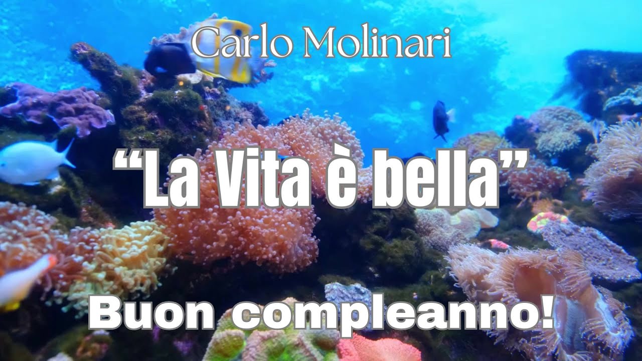 Buon compleanno (La Vita è bella) 