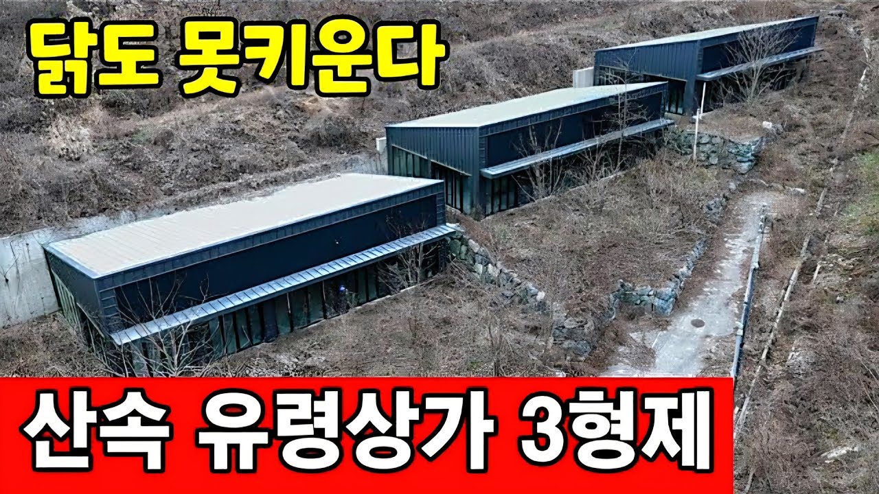 건물주를 꿈꾸다 폭망한 산속 유령상가