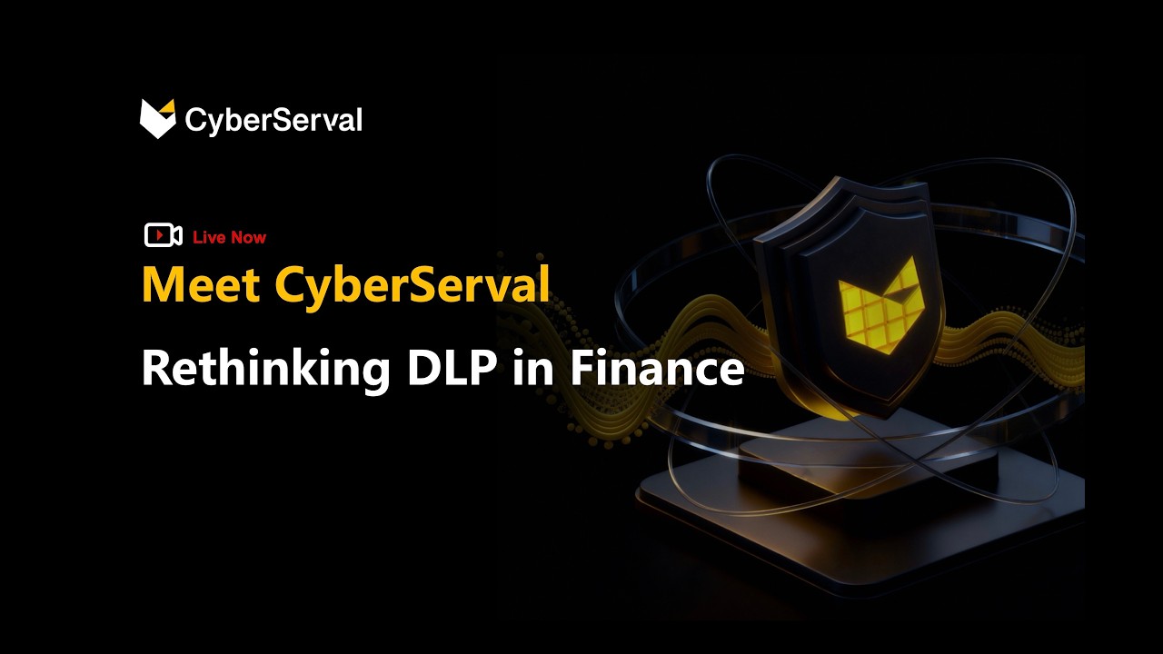 CyberServal Financial Data Security Solutions - DDR, Next-gen DLP