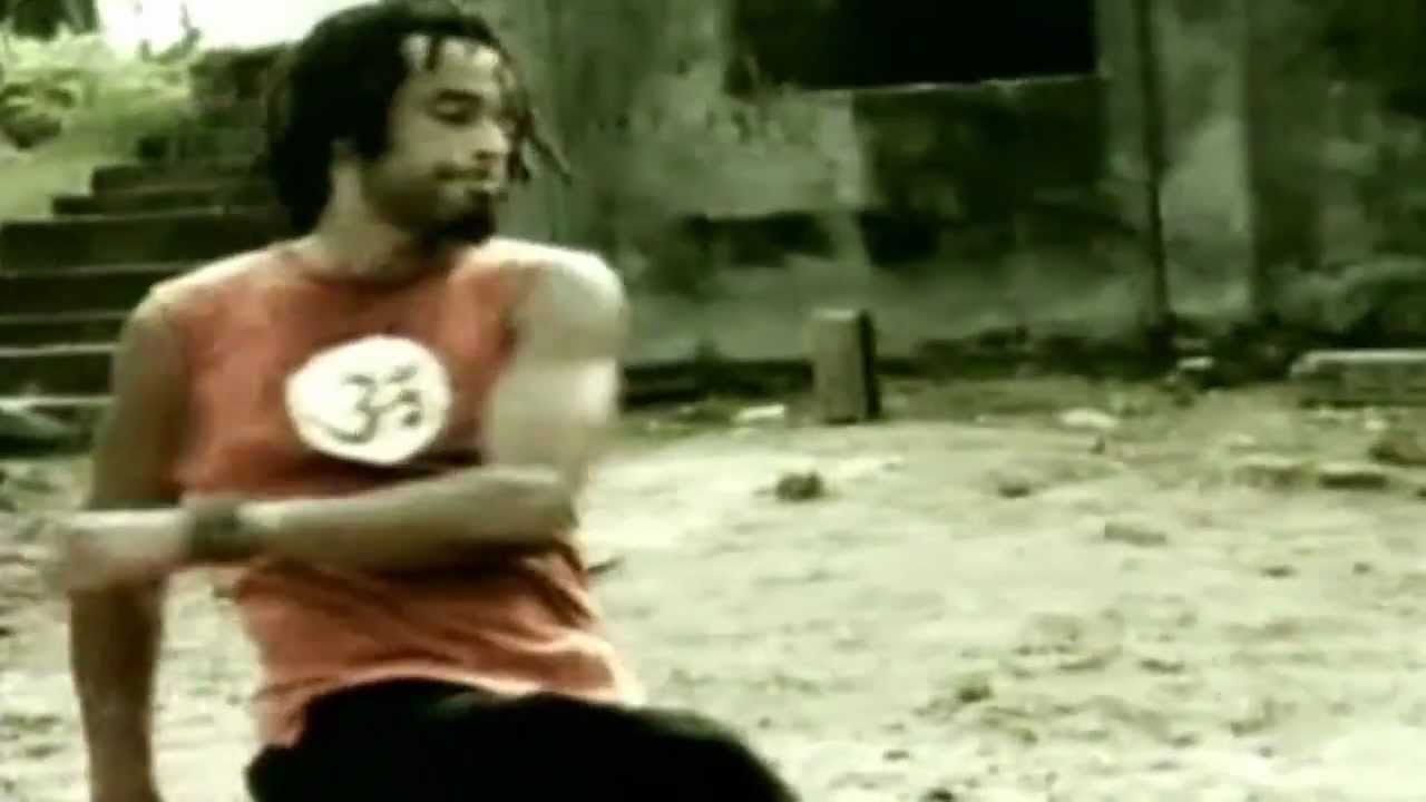 Yannick Noah par le coq sportif