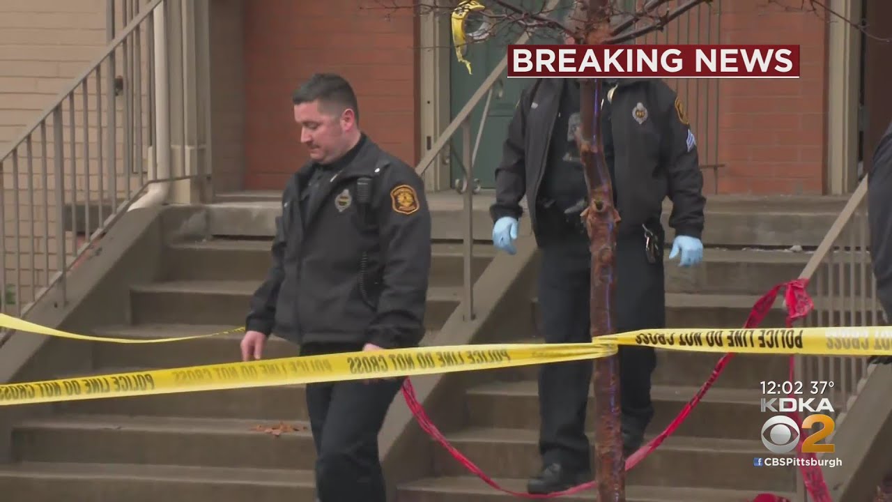 2 Children Stabbed In Pittsburgh
