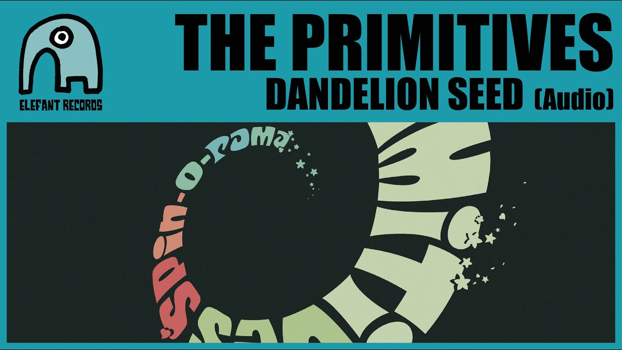 THE PRIMITIVES - Dandelion Seed [Audio]