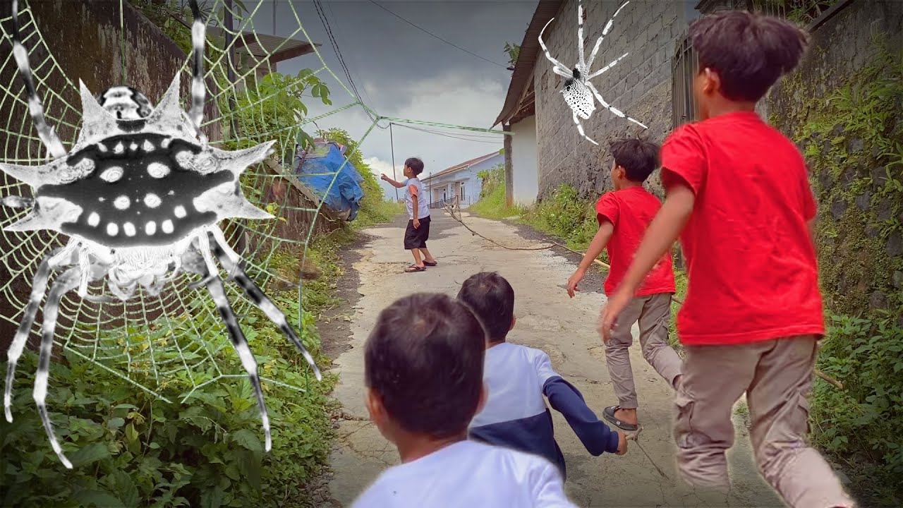 Hunting Top Spider in Around Us !! Catch Giand Golden Spider, Orb-Weaving and Gagamba with My Kids