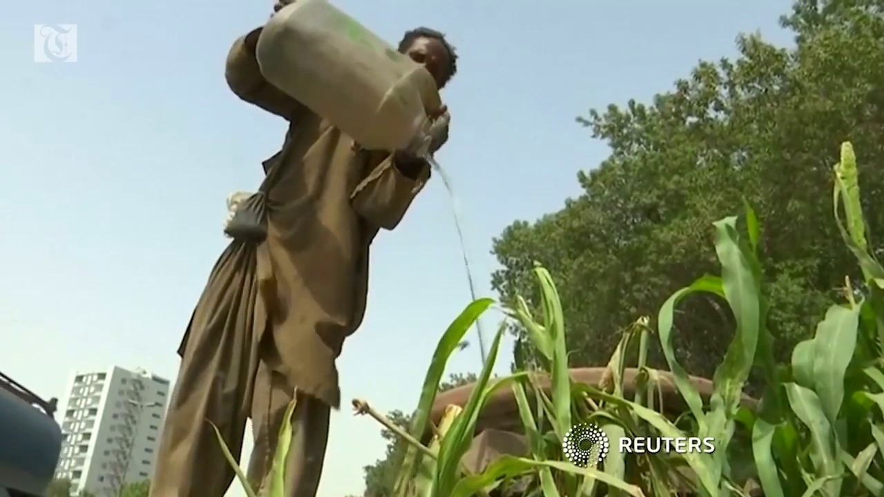 Pakistan heatwave kills 65 people in Karachi