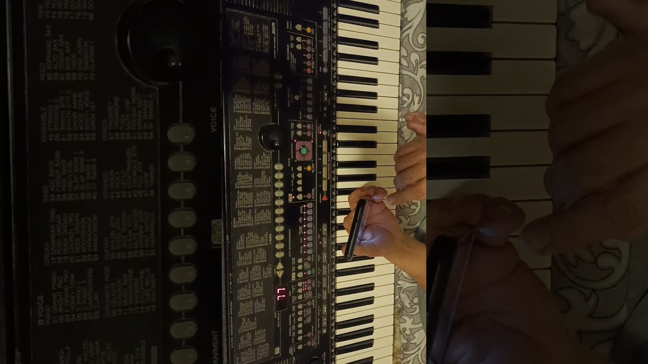 попурри psr 510