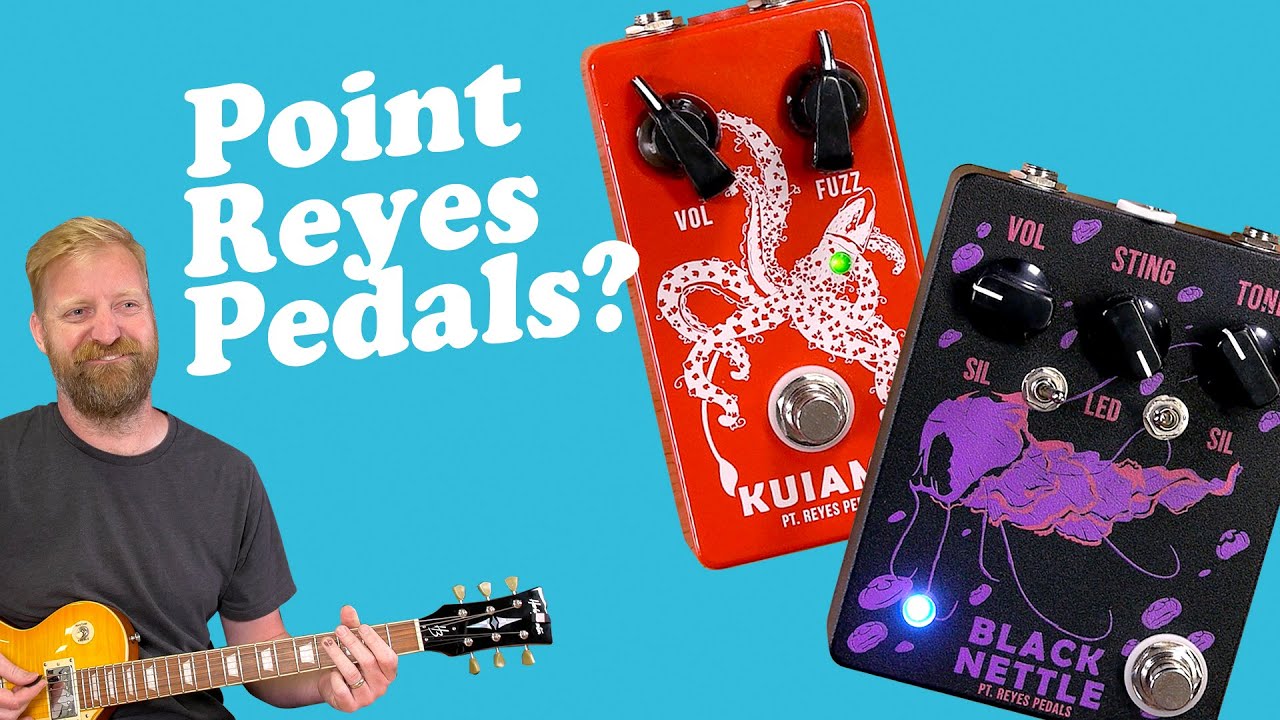 Pt.  Reyes pedals UNBOXING - Kuiama (Tone Bender variation) & Black Nettle (Muff variation)