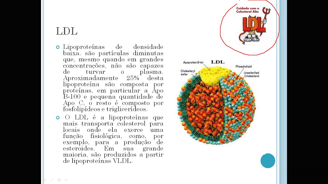 Eletroforese de lipoproteínas