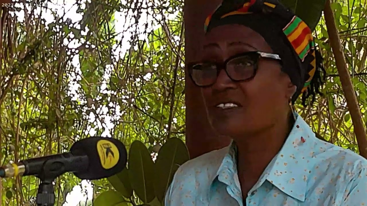 BESIGYE TRIAL: Winnie Byanyima Gives an Update on Kizza Besigye Abduction Case