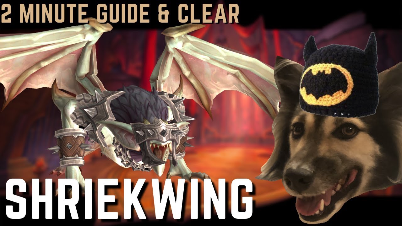 SHRIEKWING Normal - 2 Minute DPS Guide & Full Fight