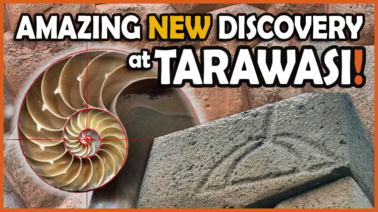 Amazing New Discovery at Tarawasi! #history #ancientcivilizations #megalithic