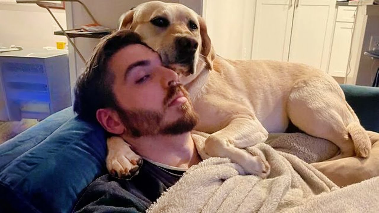 When your roommate's name is Dog 🤣 Funny Dog and Human