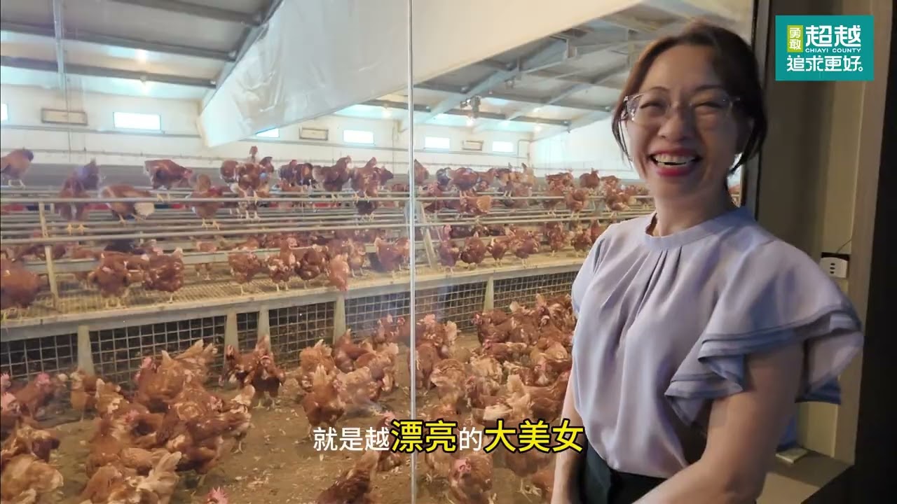 五星級的綠璽蛋雞舍-高端養殖背後的科技技術
