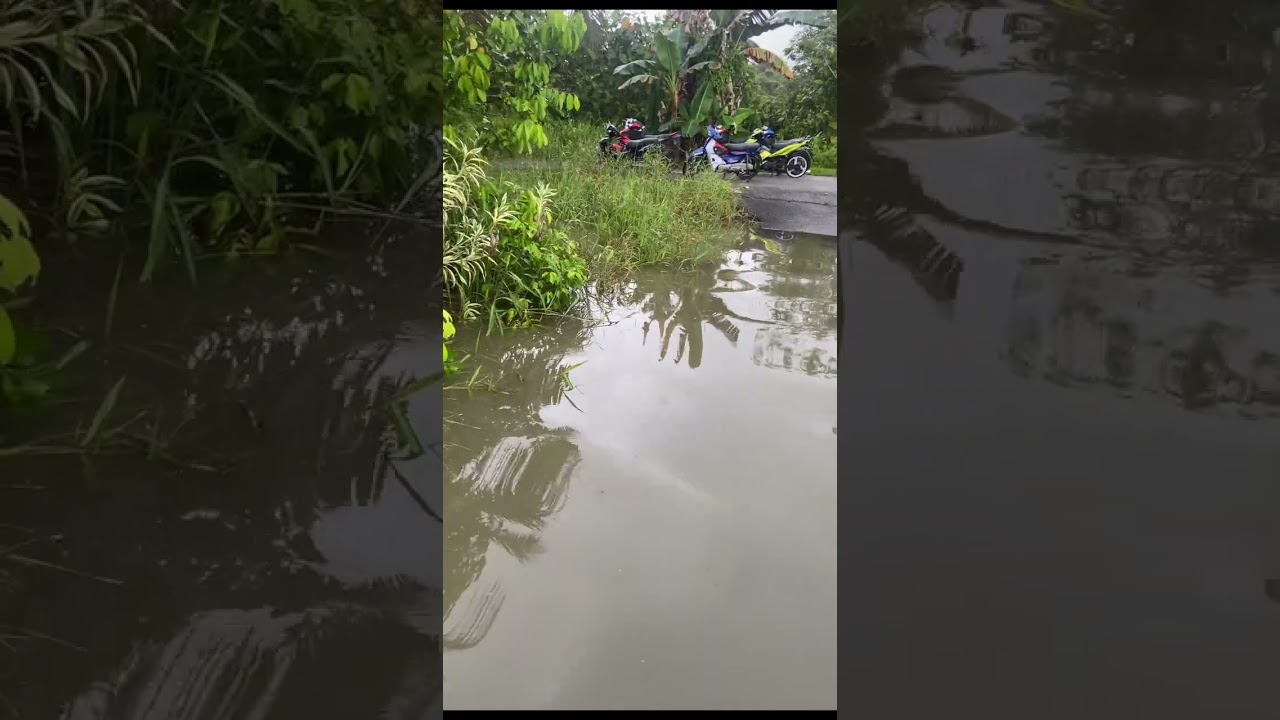 tengok air banjir area letak kereta