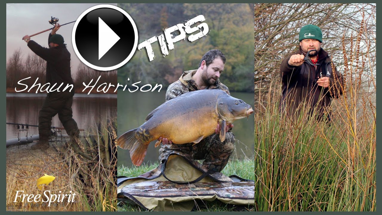 CARP FISHING - FREE SPIRIT Shaun Harrison DAY SESSION CARPING!